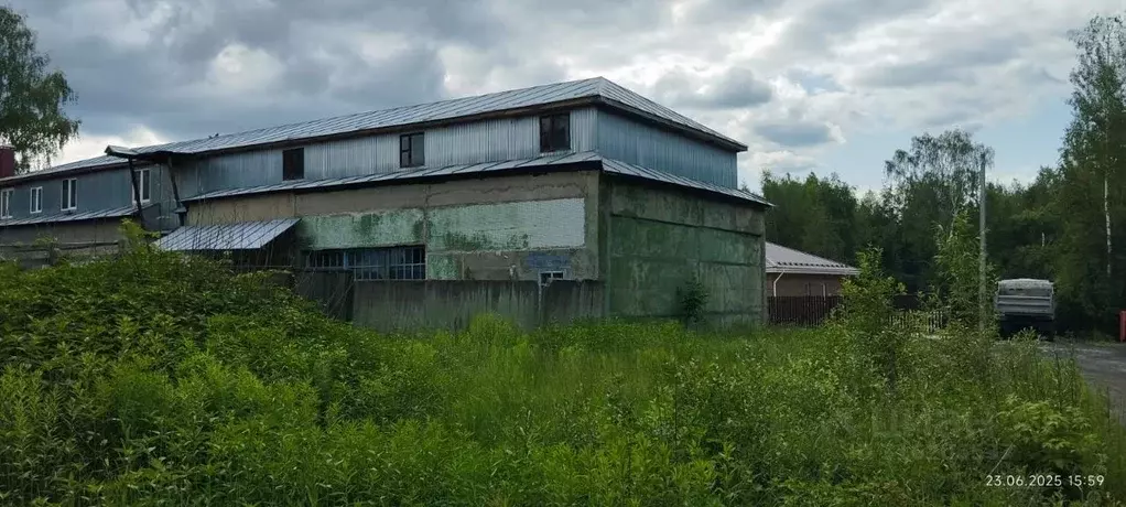 Помещение свободного назначения в Московская область, Орехово-Зуевский ... - Фото 1