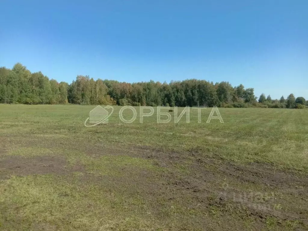 Участок в Тюменская область, Тюменский район, д. Зырянка  (304.0 сот.) - Фото 0