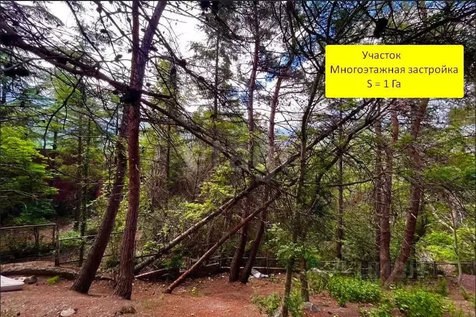Участок в Крым, Ялта ул. Найденова, 12А (96.7 сот.) - Фото 2