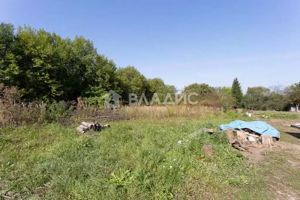 Участок в Владимирская область, Суздальский район, Новоалександровское ... - Фото 1