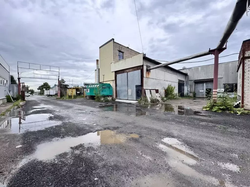 Помещение свободного назначения в Татарстан, Казань Беломорская ул., ... - Фото 1
