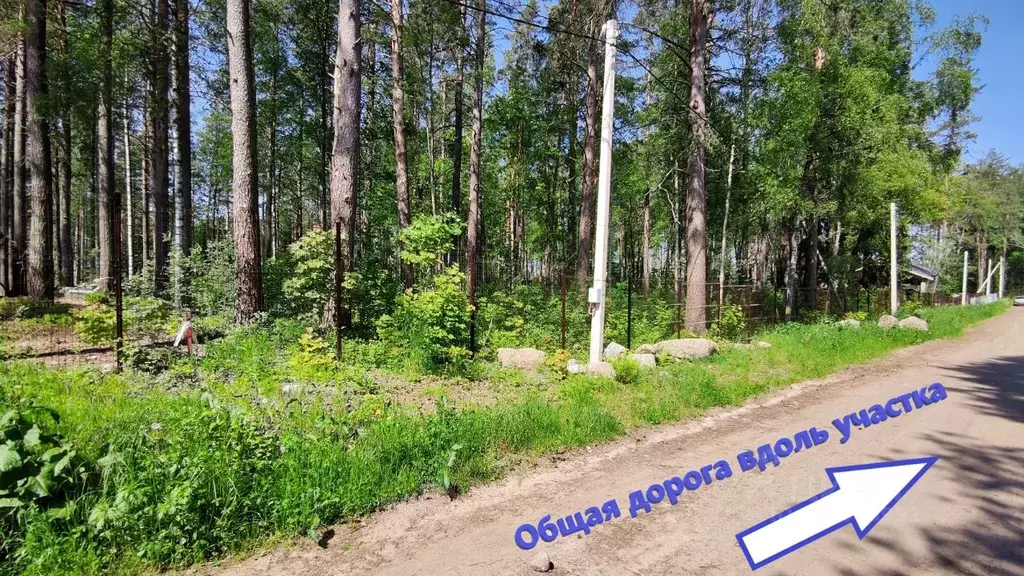 Участок в Ленинградская область, Приозерский район, Раздольевское ... - Фото 1