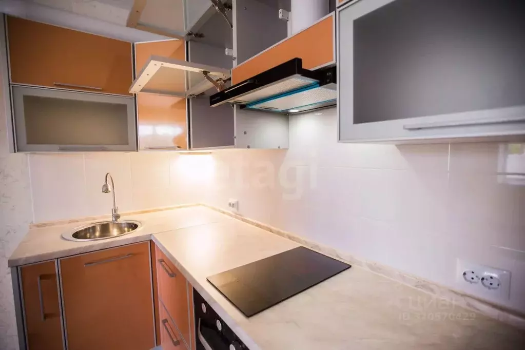 Студия Амурская область, Благовещенский район, с. Чигири ул. ... - Фото 2