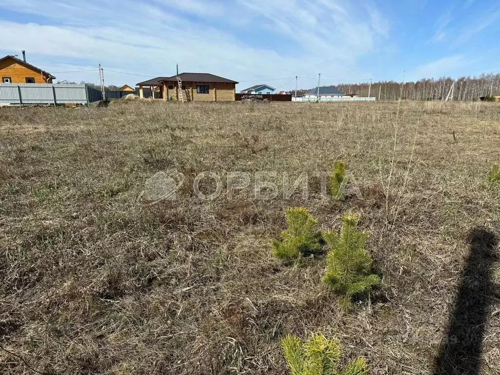 Участок в Тюменская область, Тюменский район, д. Якуши  (10.0 сот.) - Фото 0