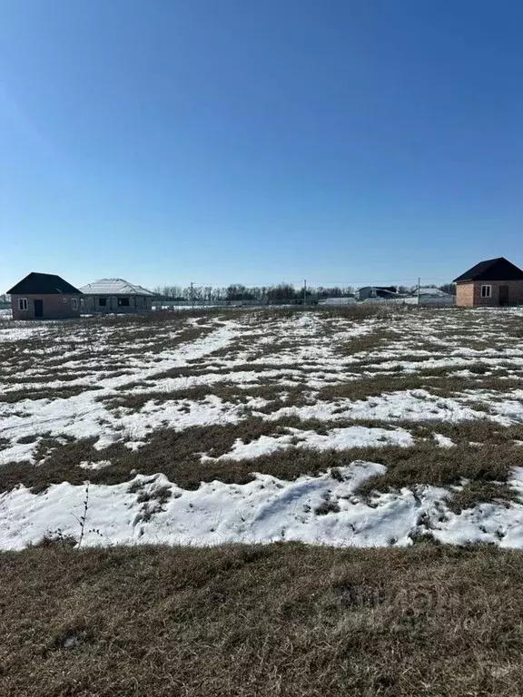 Участок в Краснодарский край, Тимашевский район, Дербентское с/пос, ... - Фото 1