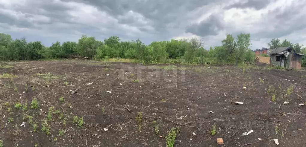 Участок в Белгородская область, Губкин Горняк-Мичуринец СТ, 123 (6.25 ... - Фото 0