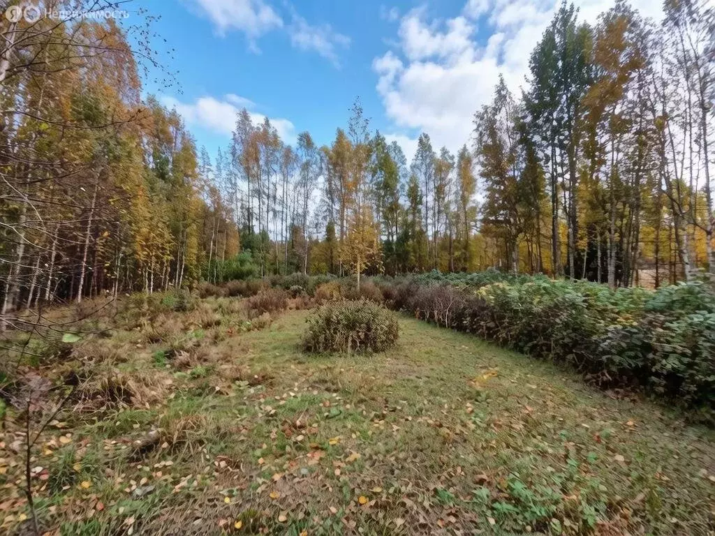 Участок в Выборгский район, Приморское городское поселение, ТСН ... - Фото 2