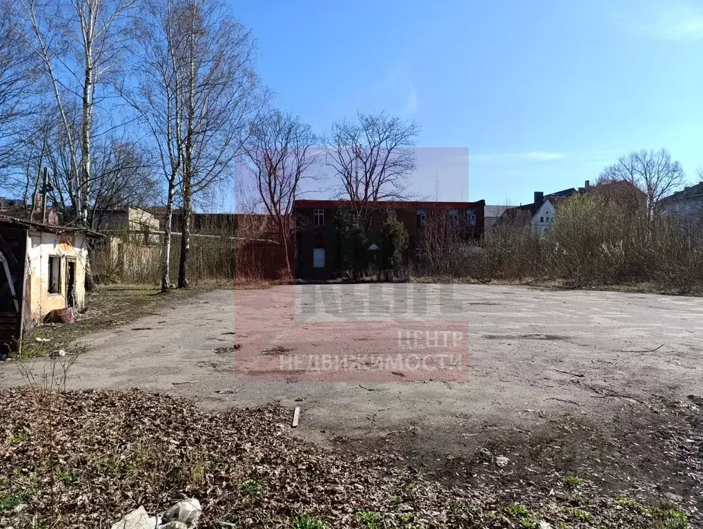 Помещение свободного назначения в Калининградская область, Черняховск ... - Фото 2