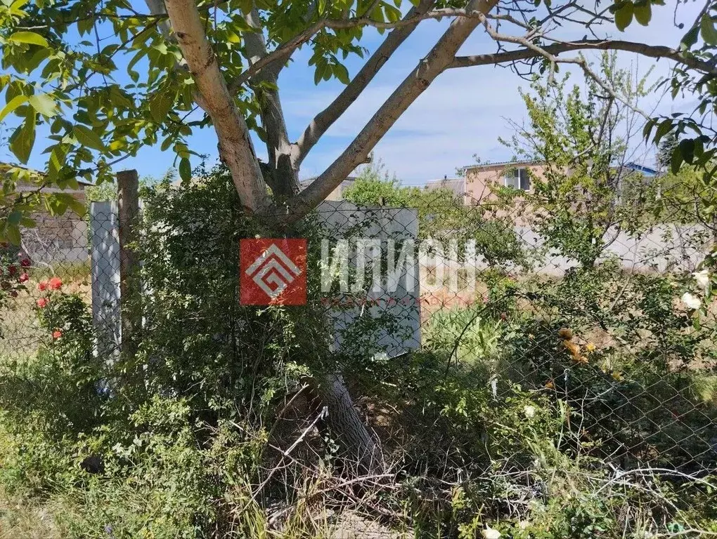 Участок в Севастополь Орбита садоводческое товарищество, 82 (4.2 сот.) - Фото 2