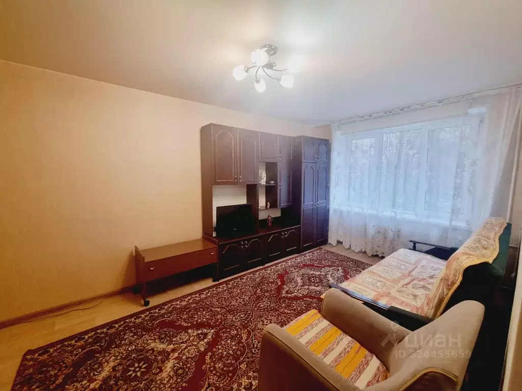 1-к кв. Московская область, Пушкино Московский просп., 33 (33.0 м) - Фото 1