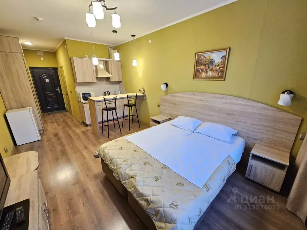 Студия Санкт-Петербург ул. Савушкина, 104 (30.0 м) - Фото 1