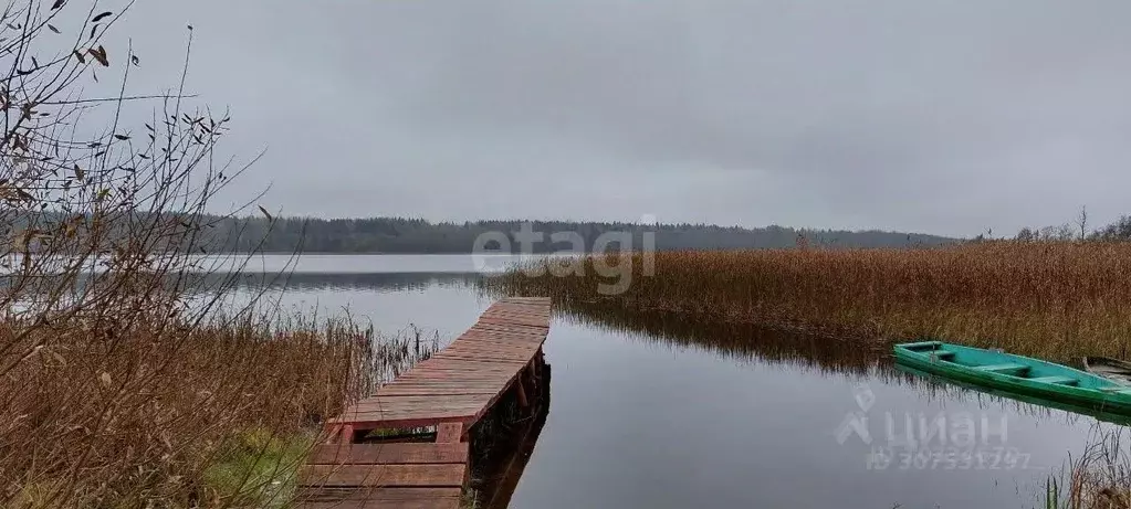 Участок в Ленинградская область, Гатчинский район, д. Лампово  (10.2 ... - Фото 0