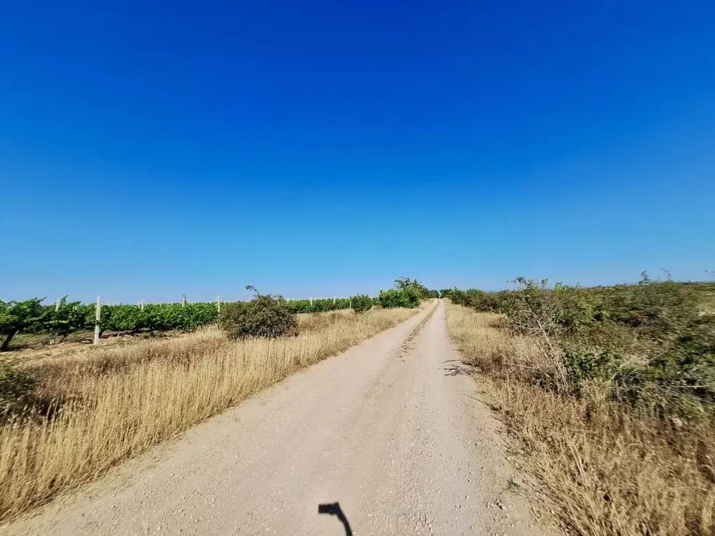 Участок в Севастополь Софьи Перовской тер.,  (130.0 сот.) - Фото 1