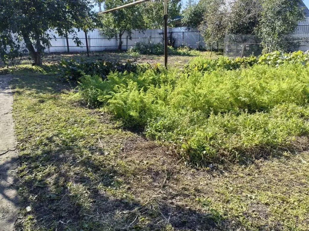 Дом в Пензенская область, Лунино рп ул. Нагорная, 98 (145 м) - Фото 2
