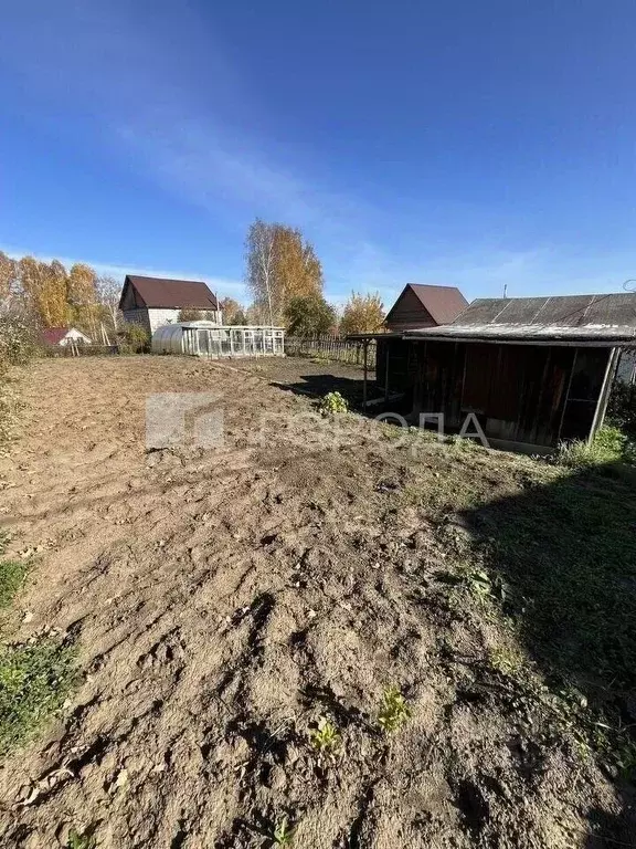 Участок в Новосибирская область, Новосибирск Ветеран СНТ, ул. ... - Фото 1