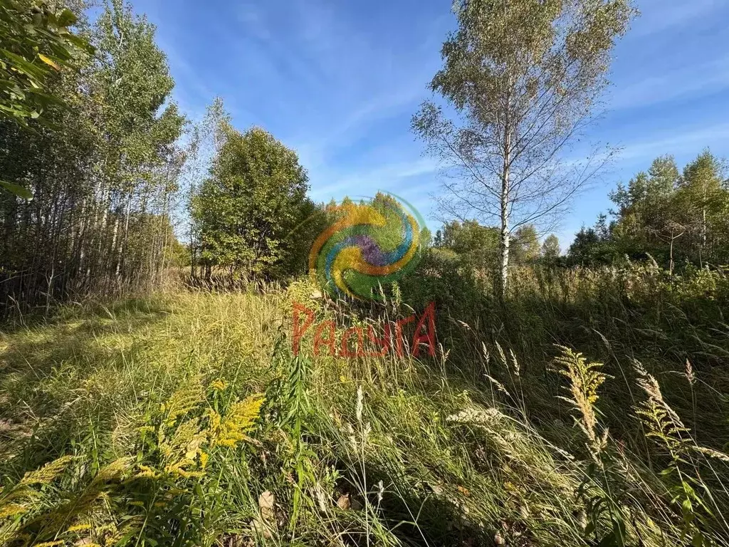 Участок в Ивановская область, Ивановский район, Новоталицкое с/пос, д. ... - Фото 2