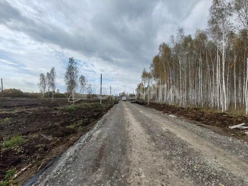 Участок в Тюменская область, Исетский муниципальный округ, д. ... - Фото 2