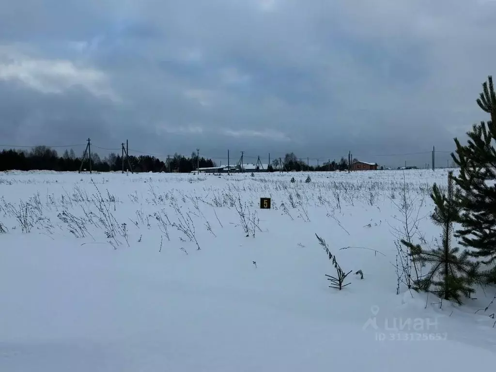 Участок в Кировская область, Слободской район, Ленинское с/пос, д. ... - Фото 0