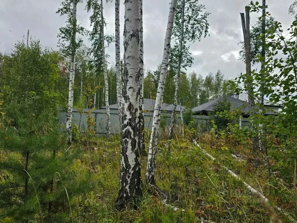 Участок в Свердловская область, Верхняя Пышма городской округ, пос. ... - Фото 0