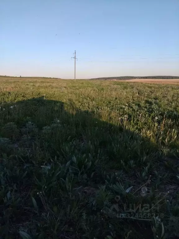 Участок в Челябинская область, Чебаркульский муниципальный округ, с. ... - Фото 2