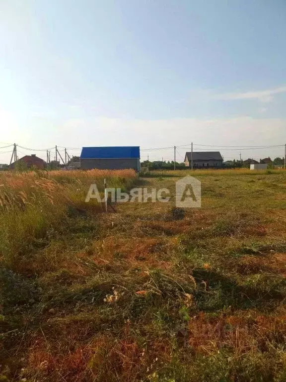 Участок в Краснодарский край, Усть-Лабинск ул. Имени Алексея Бабенко ... - Фото 1