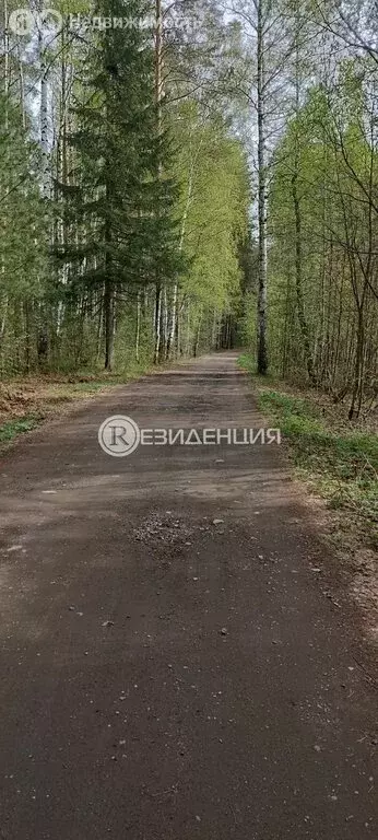 Дом в Пермь, улица Липатова, 34 (20 м) - Фото 0