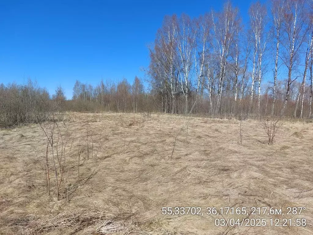 Участок в Московская область, Верея Наро-Фоминский городской округ,  ... - Фото 0