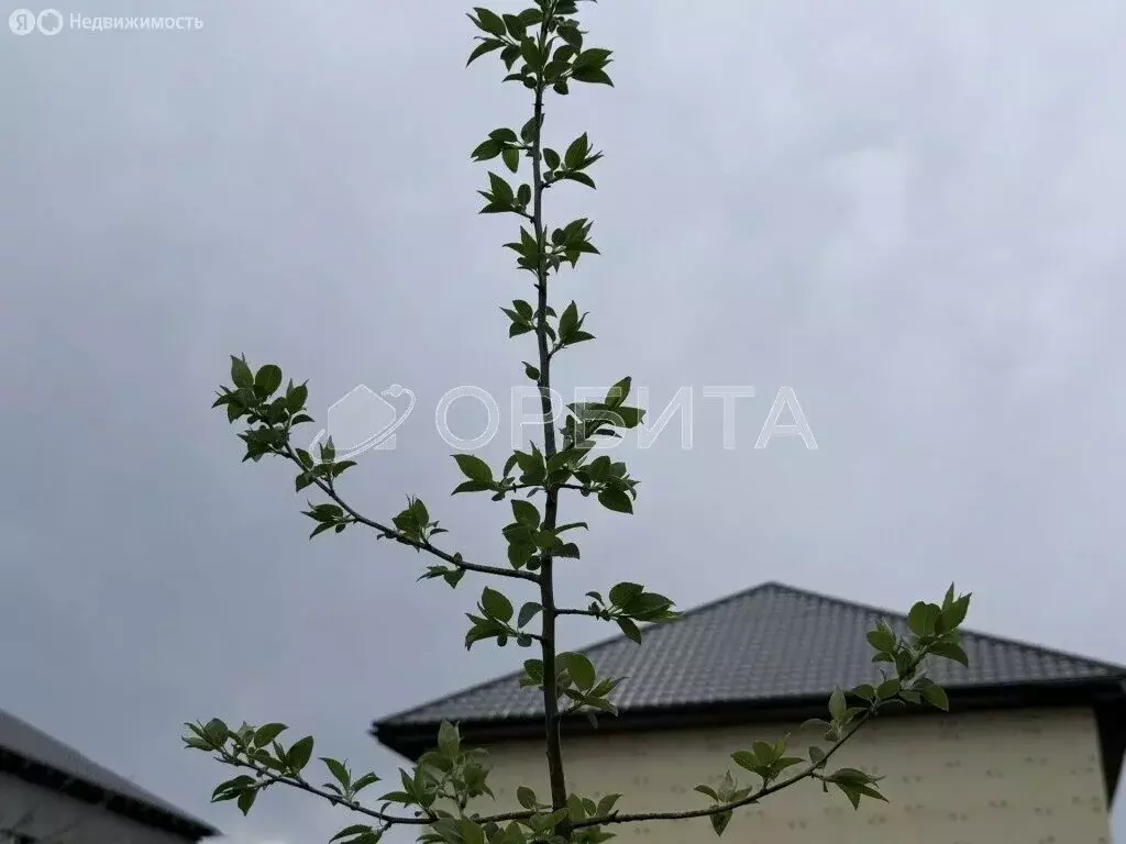 Участок в микрорайон Казарово, Ромашковая улица (5.01 м) - Фото 1
