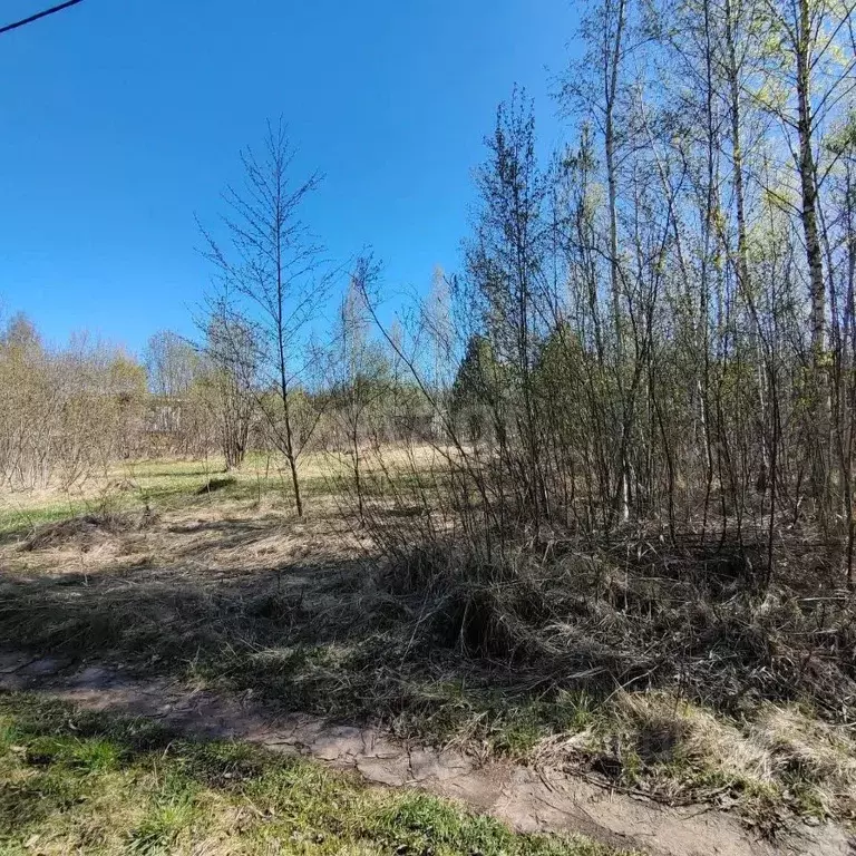Участок в Вологодская область, Вологда Медик садоводческое ... - Фото 1