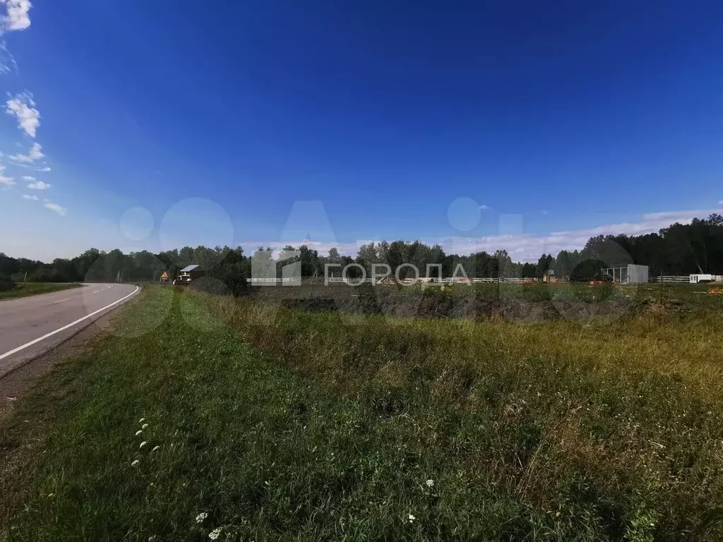 Участок 65 сот. (СНТ, ДНП) - Фото 0