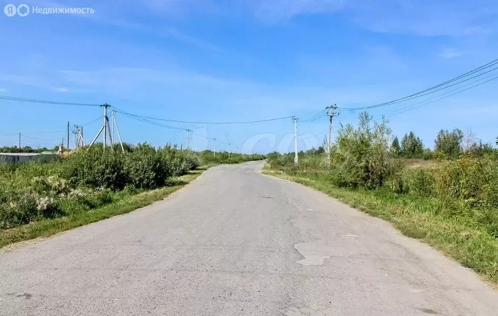 Участок в Тюменская область, Нижнетавдинский муниципальный округ, село ... - Фото 2