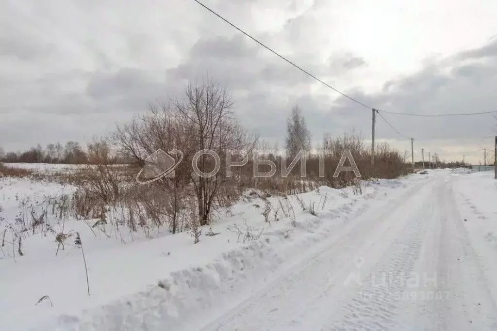 Участок в Тюменская область, Нижнетавдинский муниципальный округ, с. ... - Фото 1