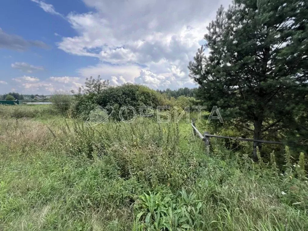 Участок в Тюменская область, Тюменский муниципальный округ, с. Кулига ... - Фото 2