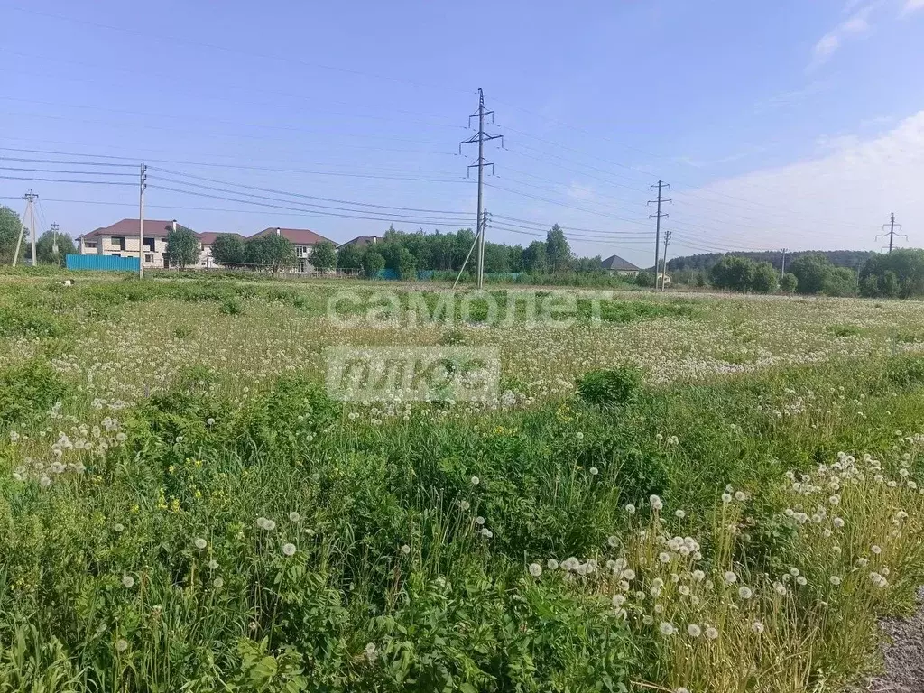 Участок в Калужская область, Совхоз Боровский с/пос, д. Комлево  (8.0 ... - Фото 1