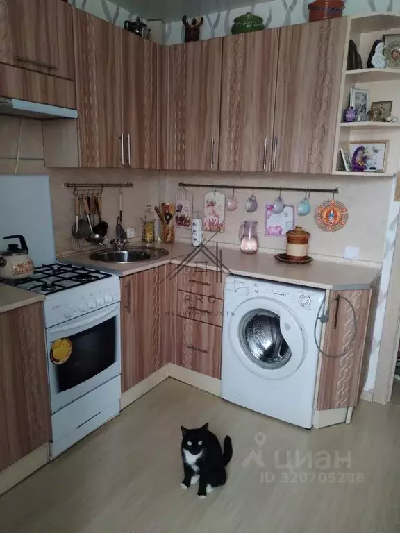 2-к кв. Костромская область, Буй ул. Карла Маркса, 28 (44.0 м) - Фото 2