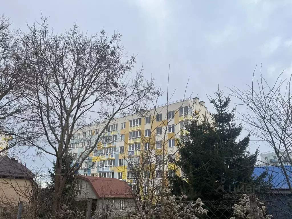 1-к кв. Калининградская область, Светлогорск Яблоневая ул., 18 (24.0 ... - Фото 1