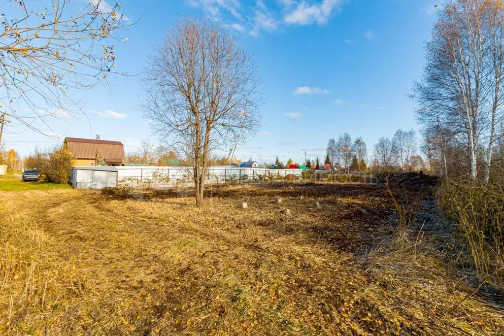 Участок в Тюменская область, Нижнетавдинский муниципальный округ, ... - Фото 2