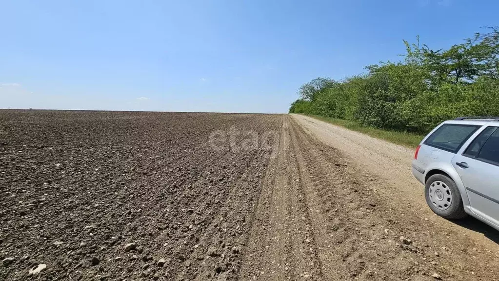 Участок в Крым, Белогорский район, Цветочненское с/пос, с. Долиновка  ... - Фото 2