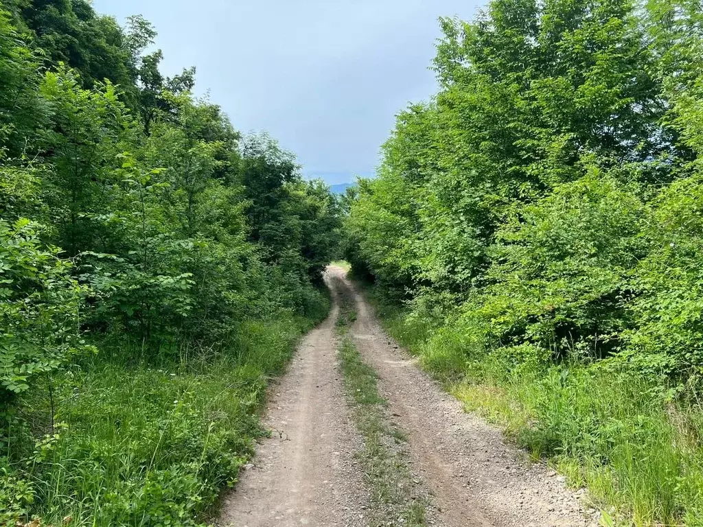 Участок в Крым, Алушта  (1.2 сот.) - Фото 1