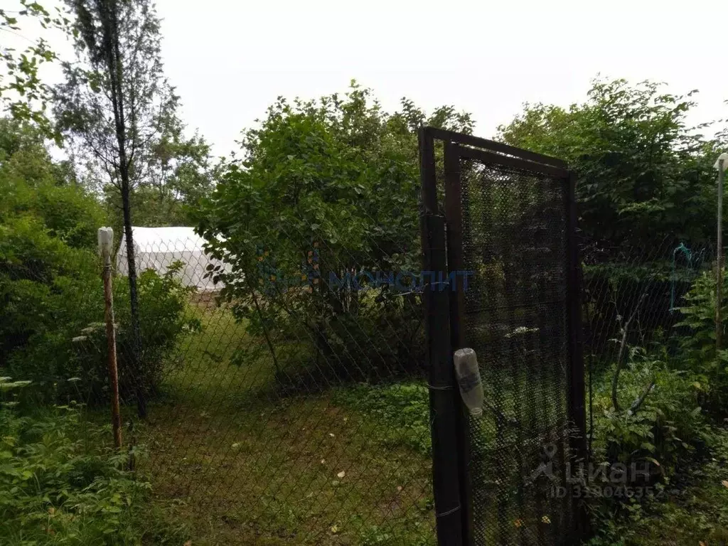 Участок в Нижегородская область, Богородский муниципальный округ, д. ... - Фото 1