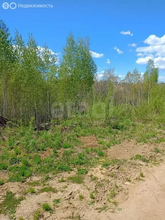Участок в Иркутский муниципальный округ, ДНТ Ангара (10.75 м) - Фото 2
