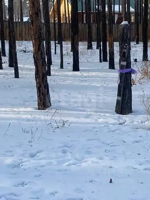 Участок в Бурятия, Улан-Удэ пос. Светлый,  (10.0 сот.) - Фото 2