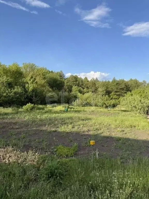 Участок в Воронежская область, Новоусманский район, Хреновское с/пос, ... - Фото 2