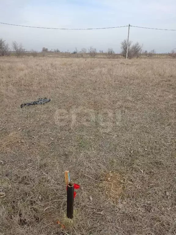 Участок в Ростовская область, Азовский район, Рогожкино хут. Степная ... - Фото 2