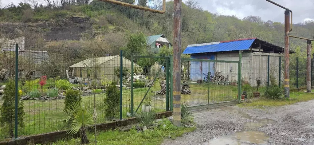 Участок в Краснодарский край, Сочи городской округ, с. Пластунка ул. ... - Фото 1