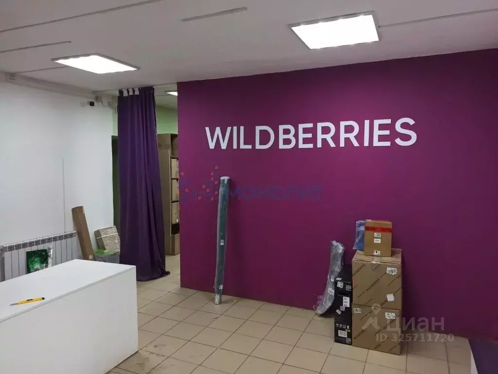 Помещение свободного назначения в Нижегородская область, с. Гагино ул. ... - Фото 2