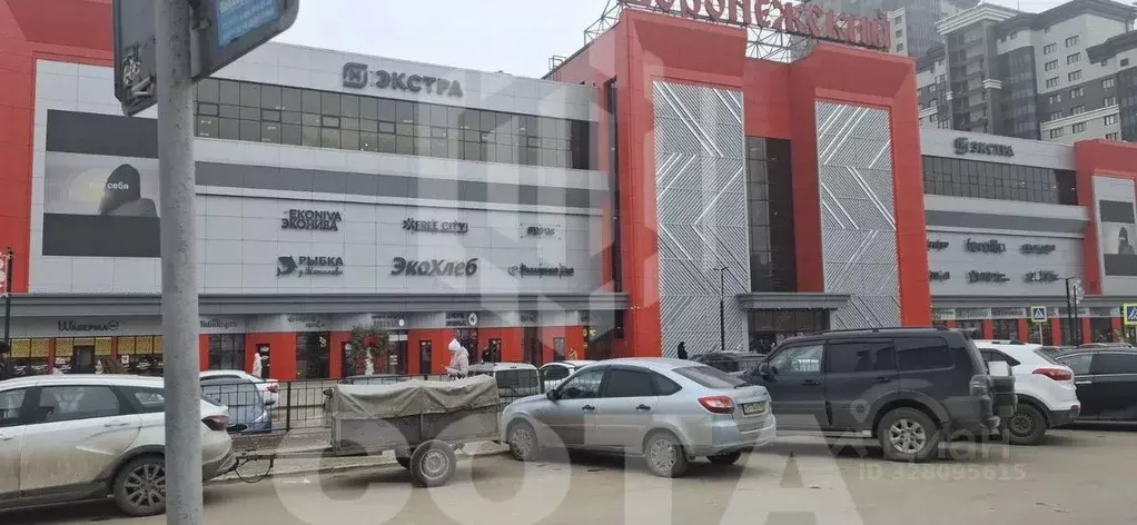 1-к кв. Воронежская область, Воронеж Московский просп., 126 (36.3 м) - Фото 2