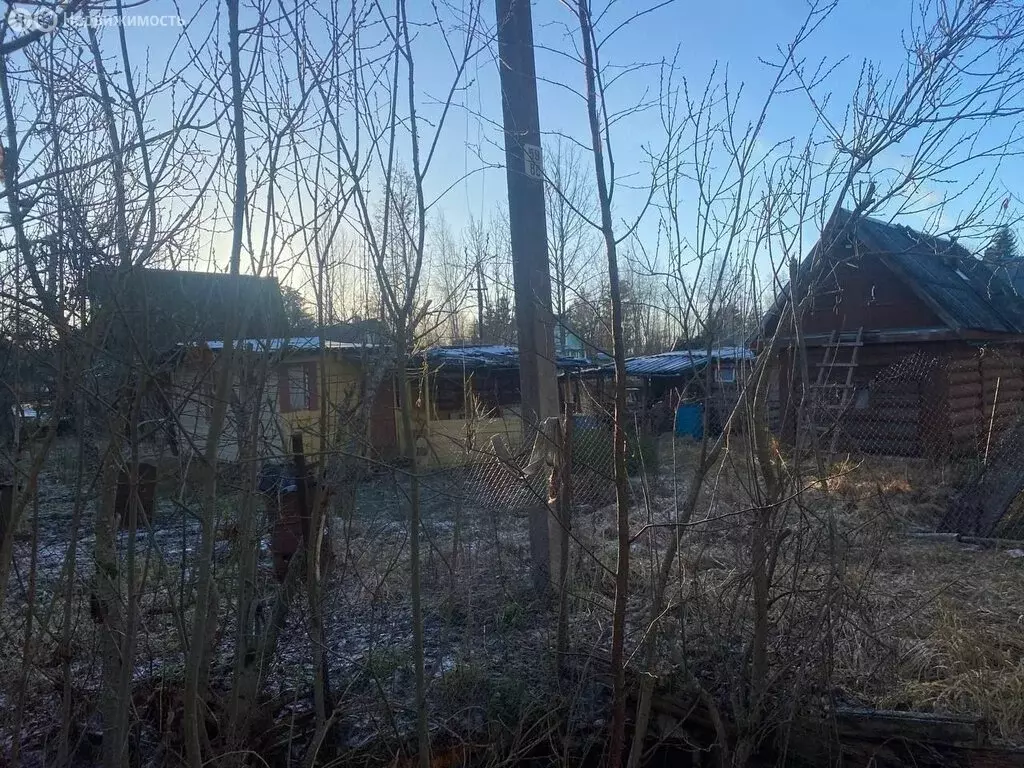 Дом в Мшинское сельское поселение, садоводческий массив Мшинская, ... - Фото 2
