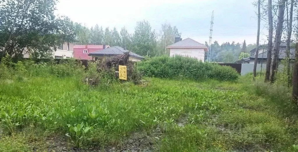 Участок в Московская область, Ногинск Богородский городской округ, ул. ... - Фото 2