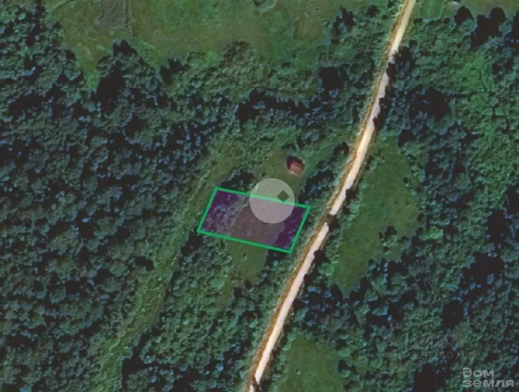 Участок в Новгородская область, Чудовский район, Трегубовское с/пос, ... - Фото 2